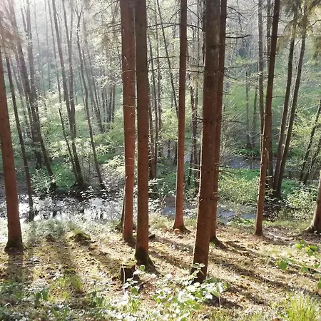 Les Ceramiques Du Pelerin Campingplads