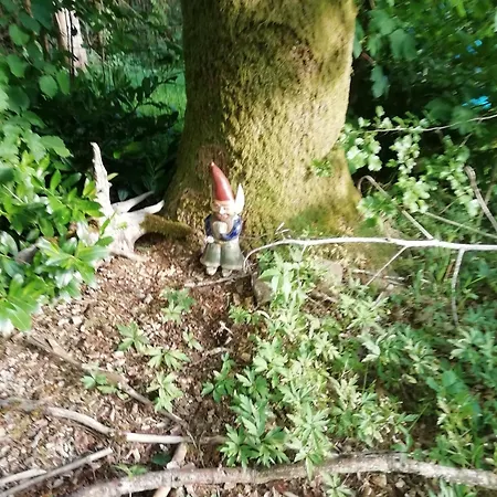 Les Céramiques Du Pèlerin Couvin
