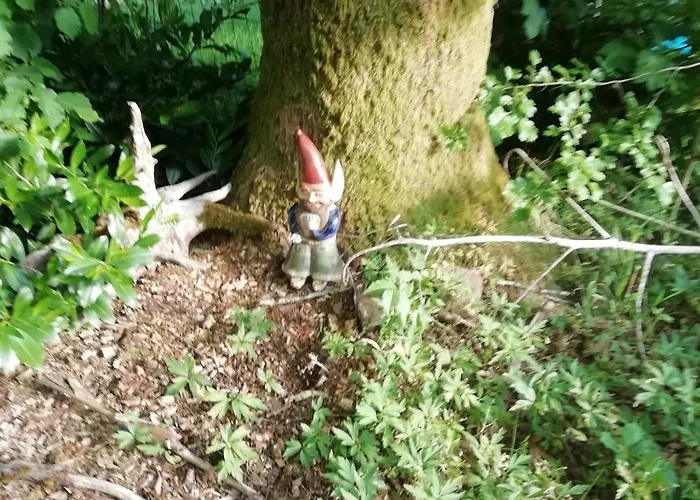 Les Céramiques Du Pèlerin Couvin